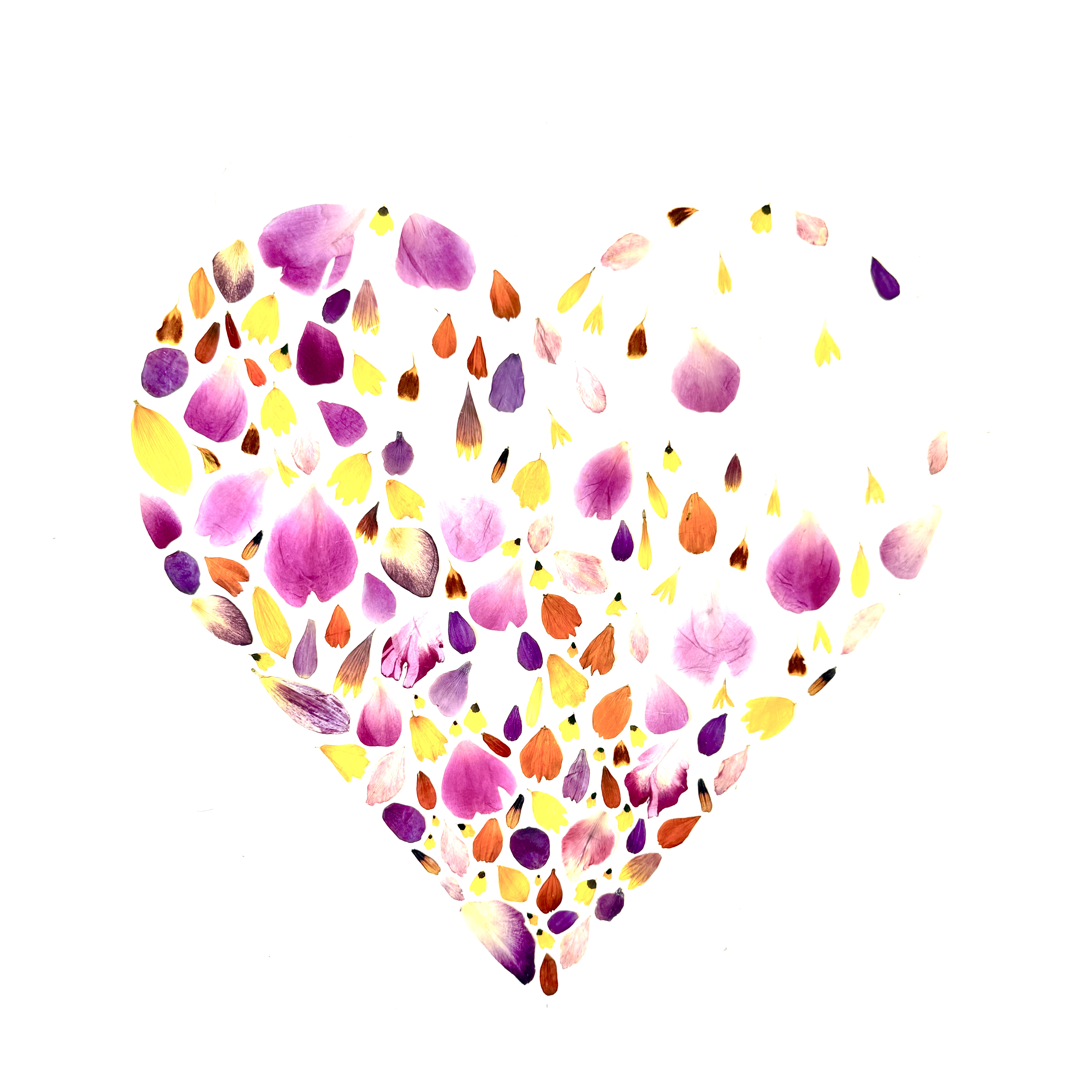 FloreOrganicBotanics