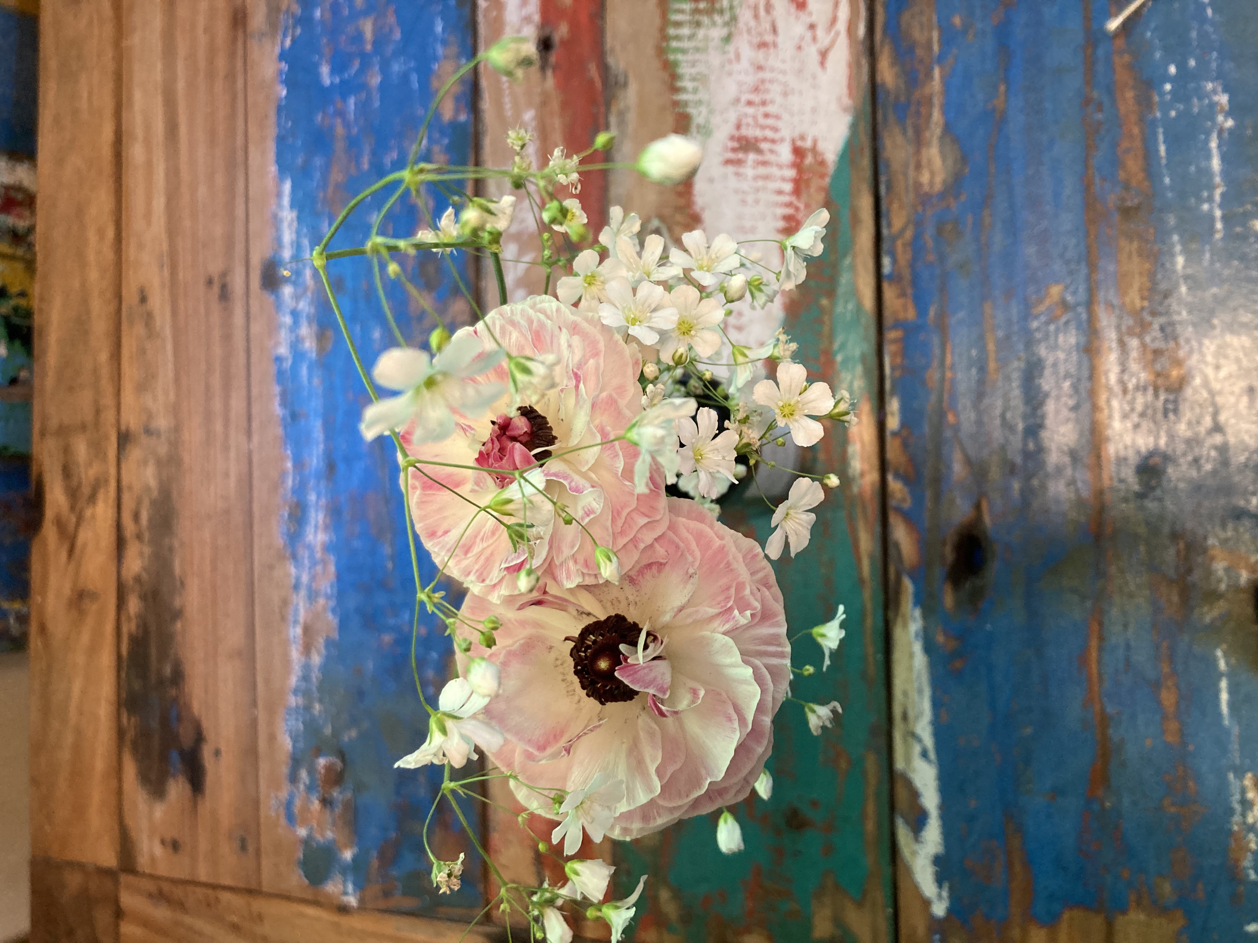 Melaina’s Flower Field