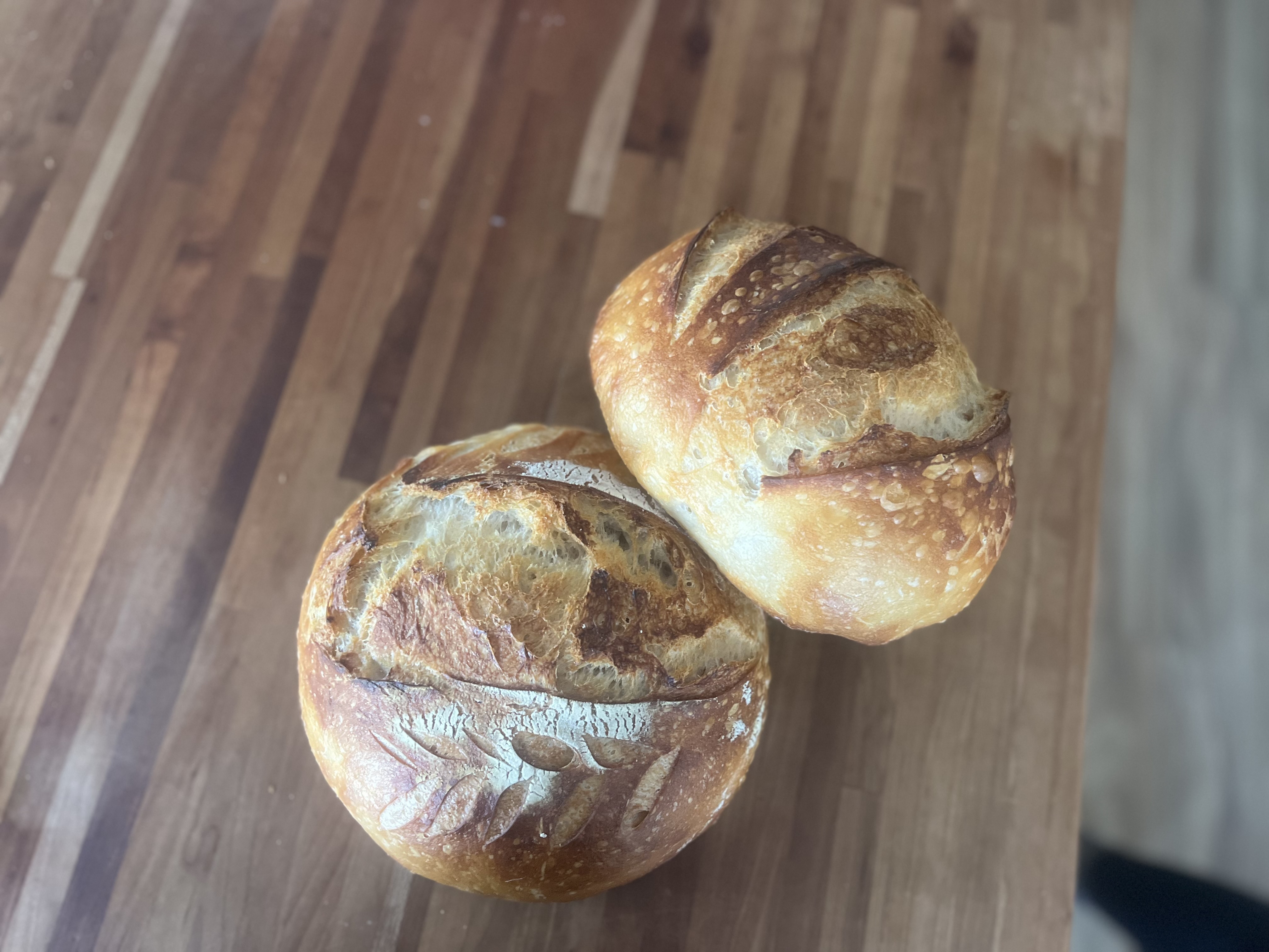 Enchanted Crusts sourdough microbakery 