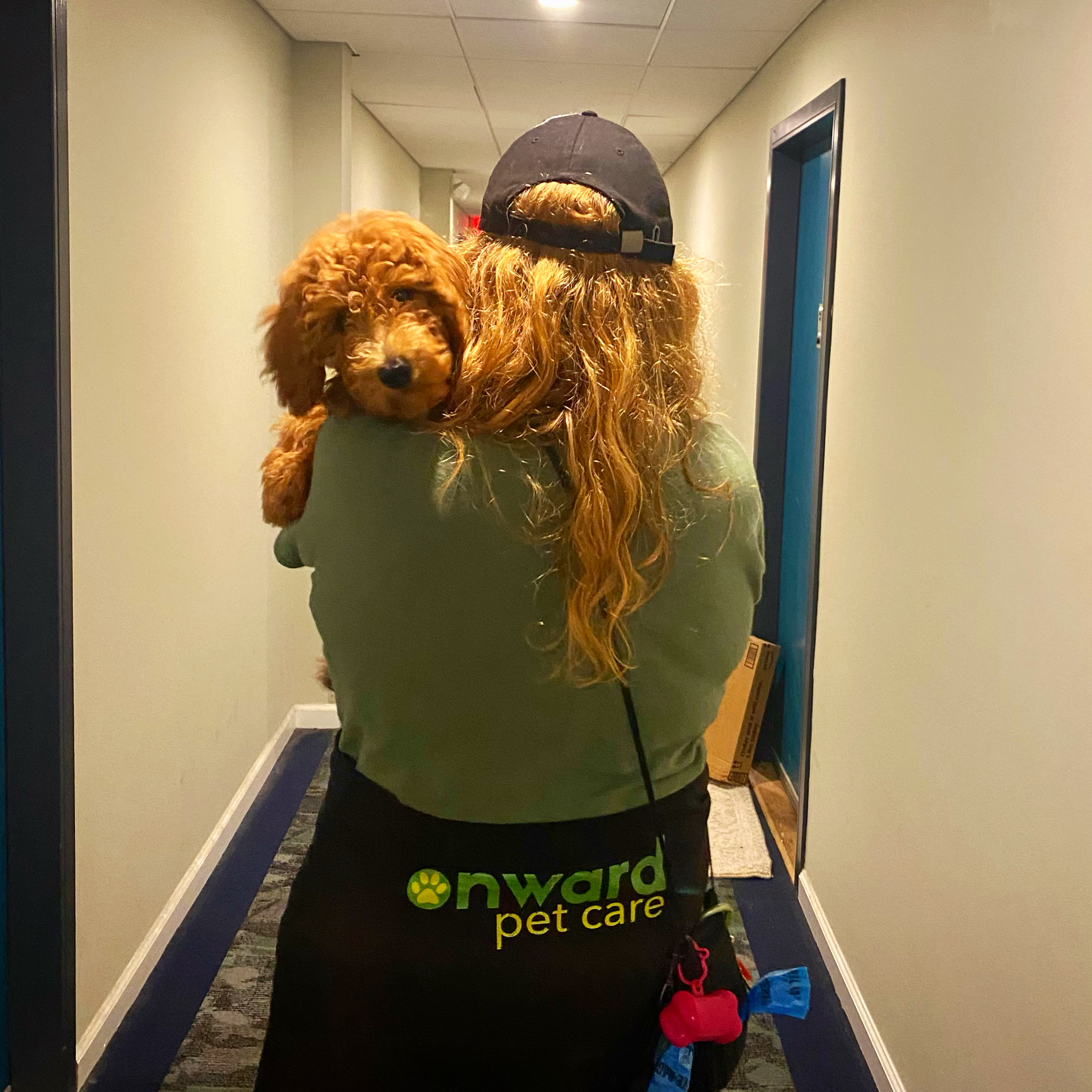 Onward Pet Care