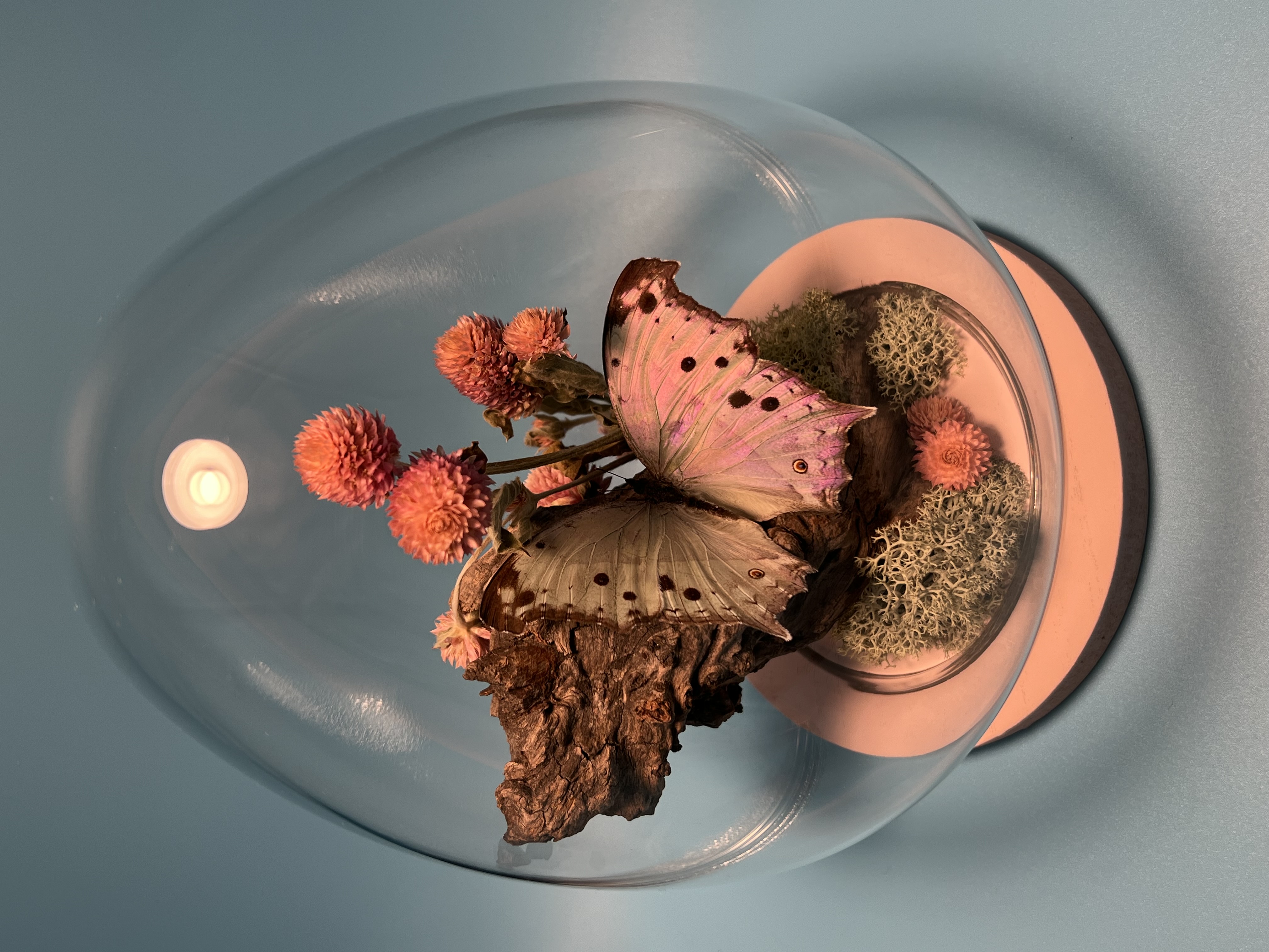 Nicole’s Naturals LLC