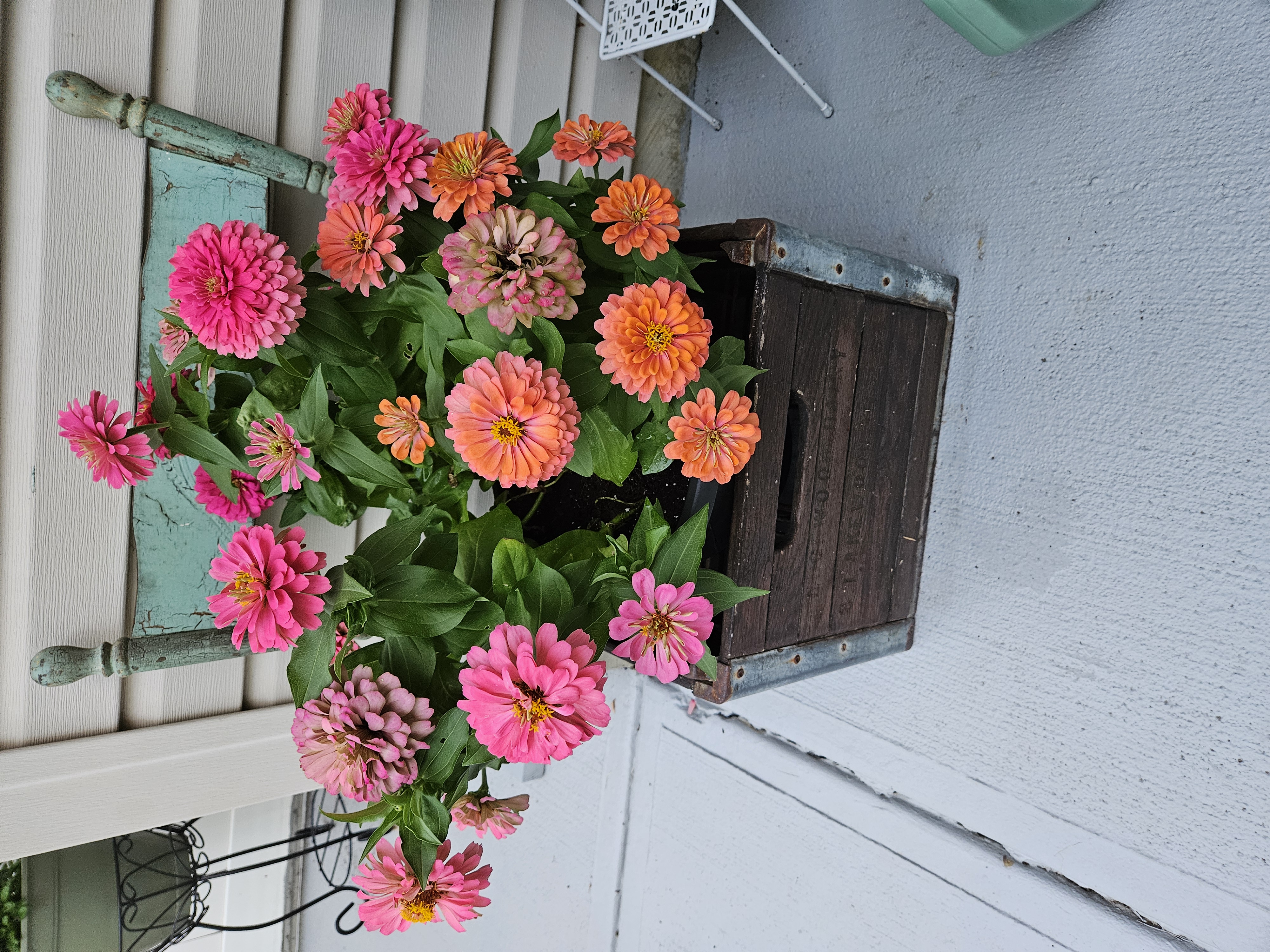 Vintage Garden Mercantile