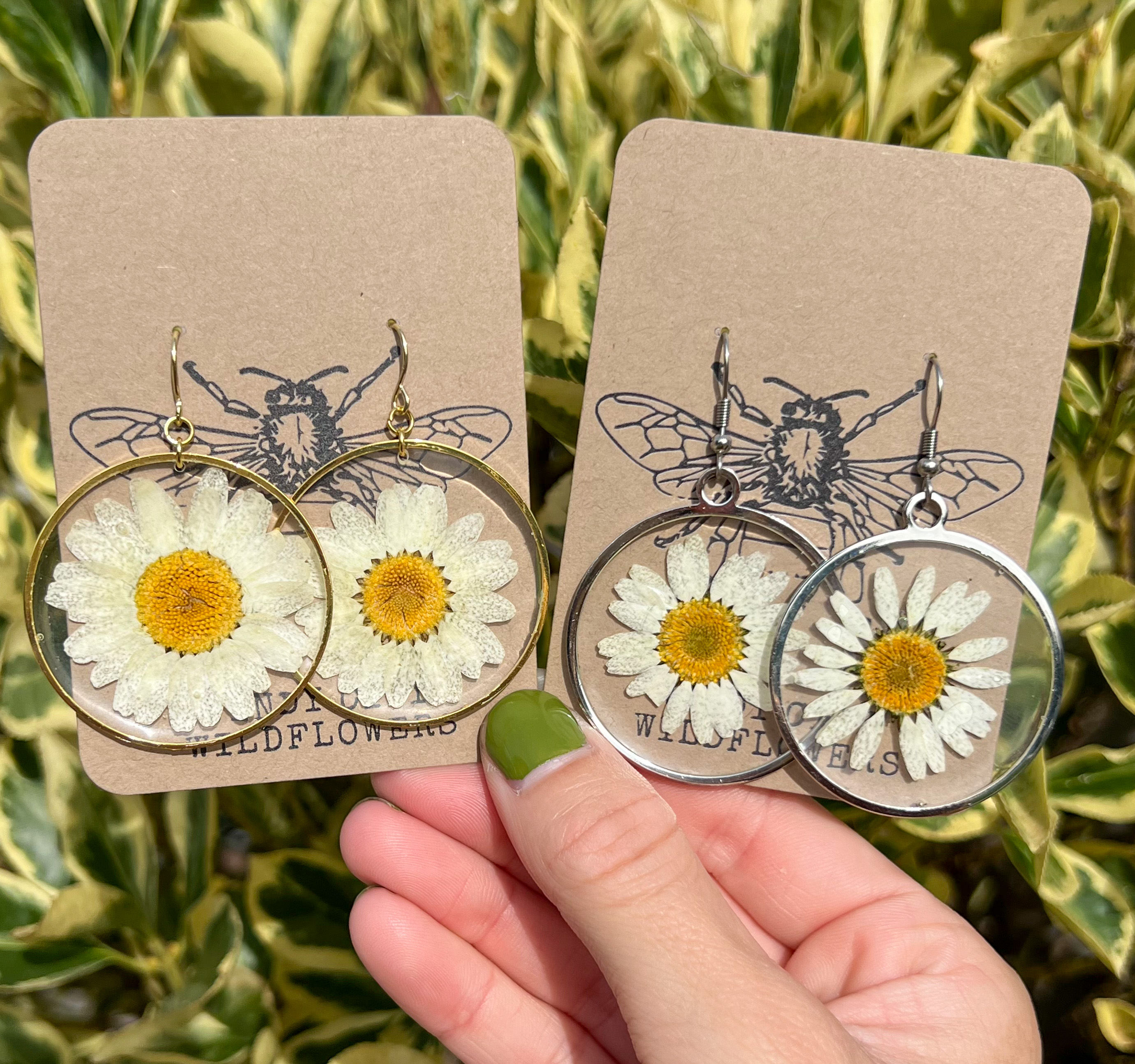 Windy City Wildflowers