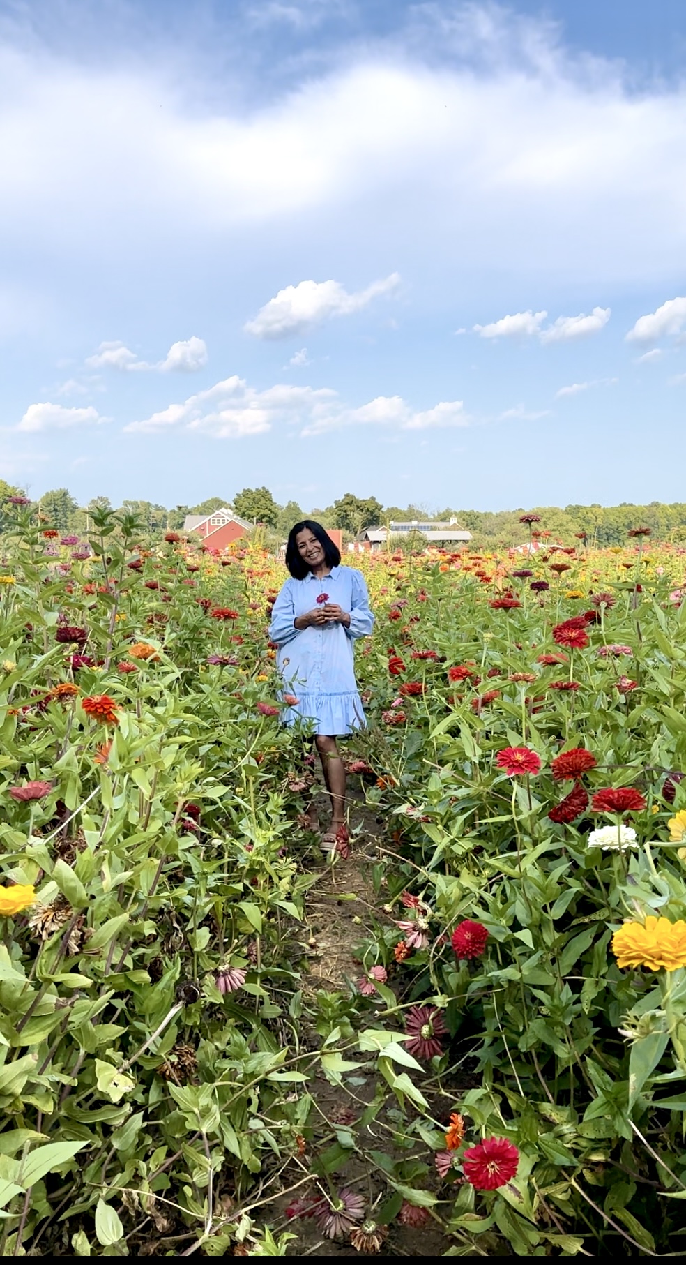 Vaishali Pundir studios 