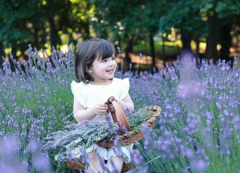 Pleasant Valley Lavender
