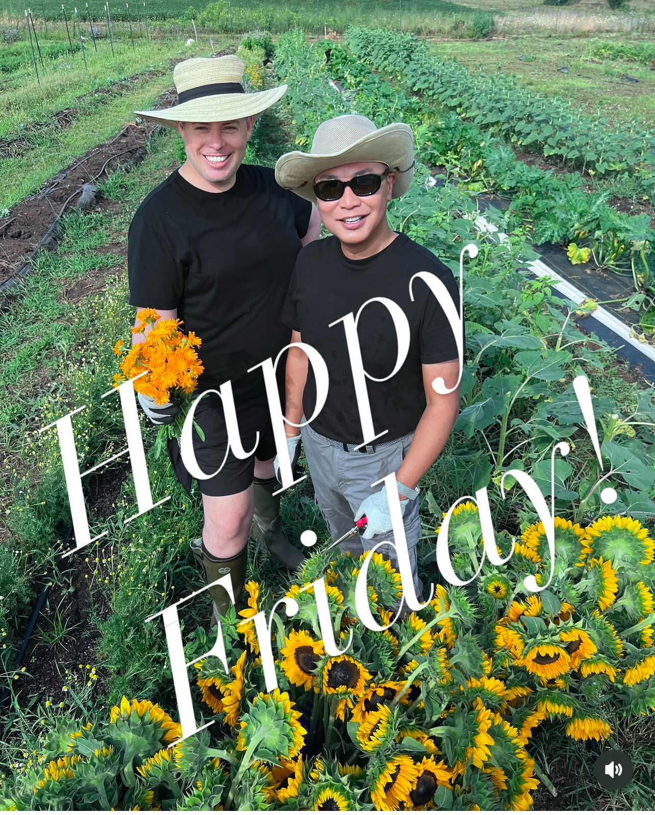 WhiteStall Farm, LLC