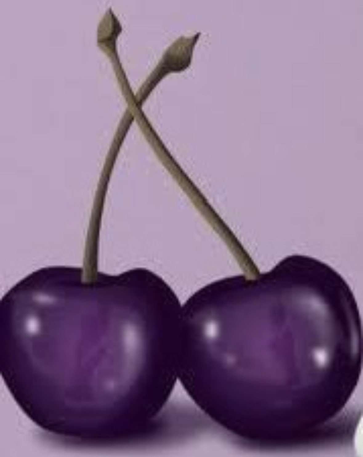 Purple Cherry Lane