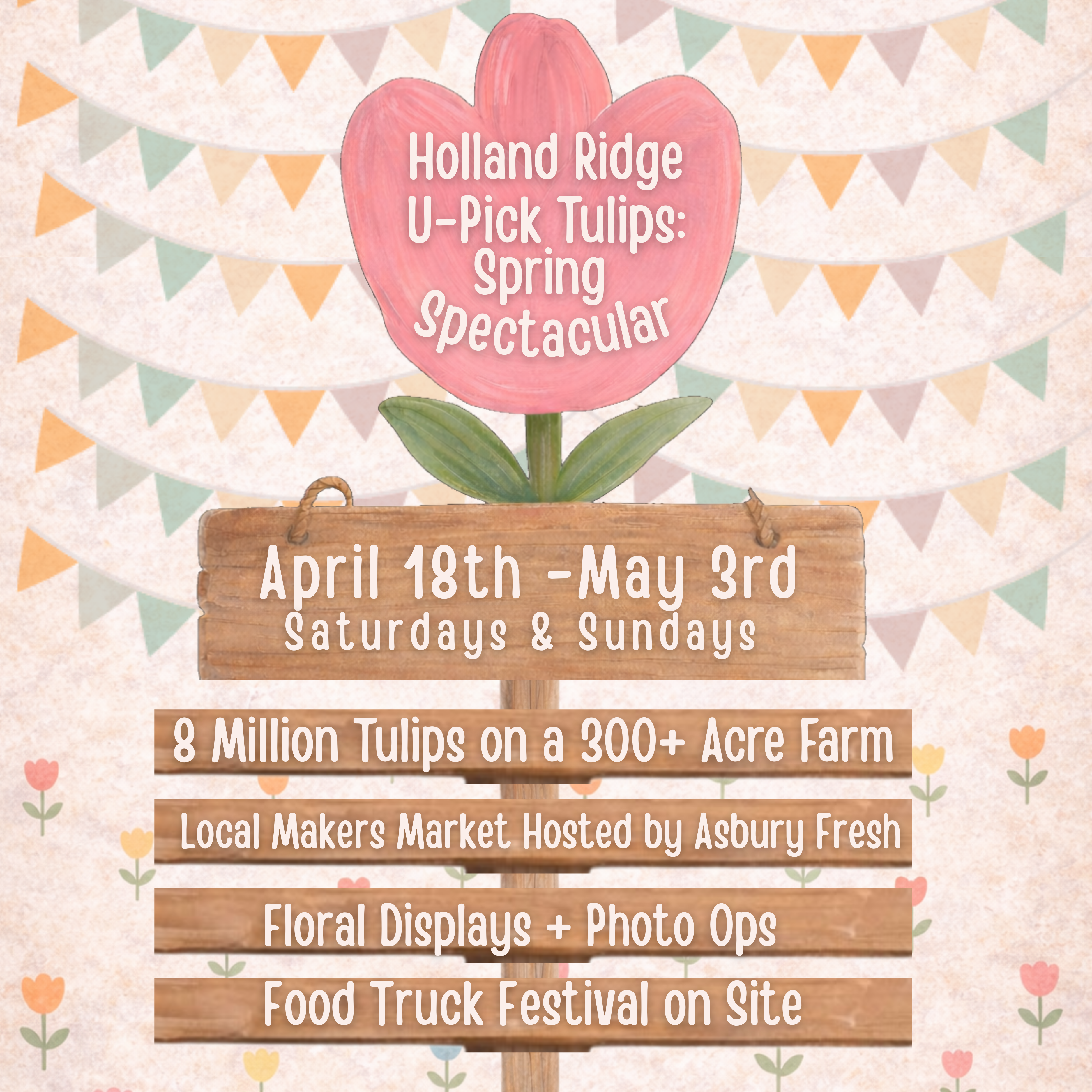 2026 Holland Ridge Farms U-Pick Tulip: Spring Spectacular