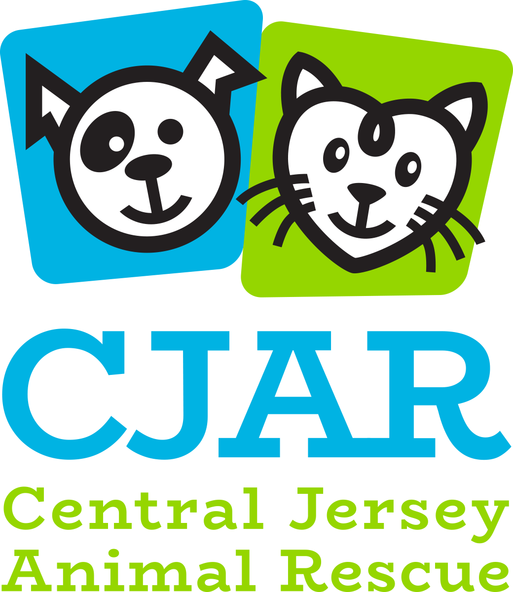 Central Jersey Animal Rescue
