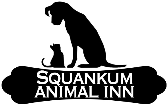 Squankum Animal Inn